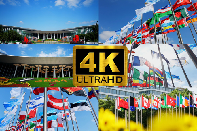 2024第七届世界进口博会南门延时