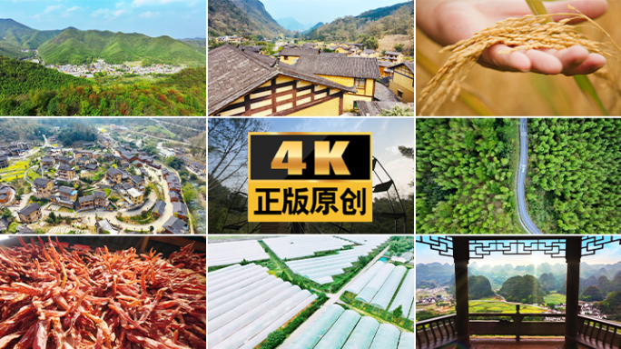 中国乡村农村乡村振兴农民乡村丰收乡村农业
