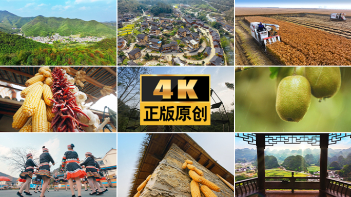 乡村振兴中国乡村农田农村丰收田园