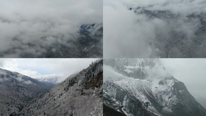 四姑娘山雪山雪景