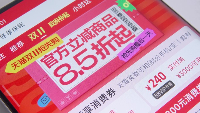 2024双十一 购物节 政府补贴