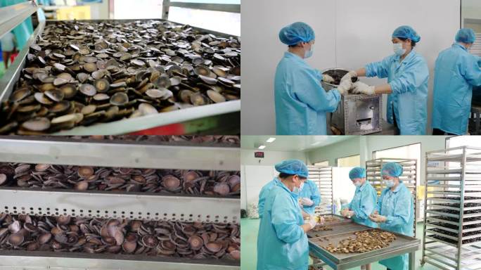 化橘红切片加工