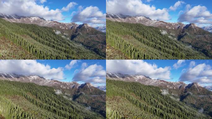 川西雪山-阿坝州若巴藏拉克山