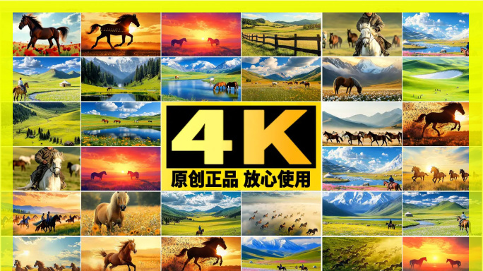 内蒙古大草原奔跑的马 草原马群 奔腾