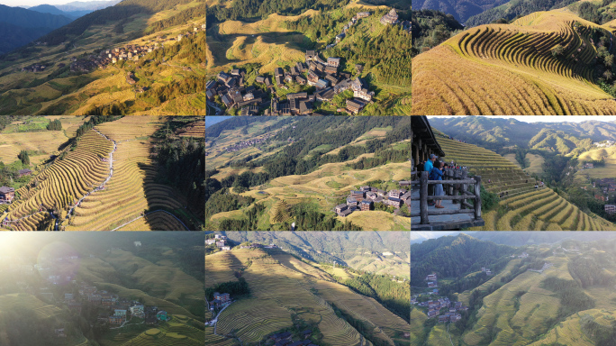 龙胜龙脊梯田秋收稻田丰收平安壮寨金坑大寨