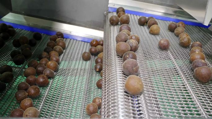 化橘红工厂加工制作集合