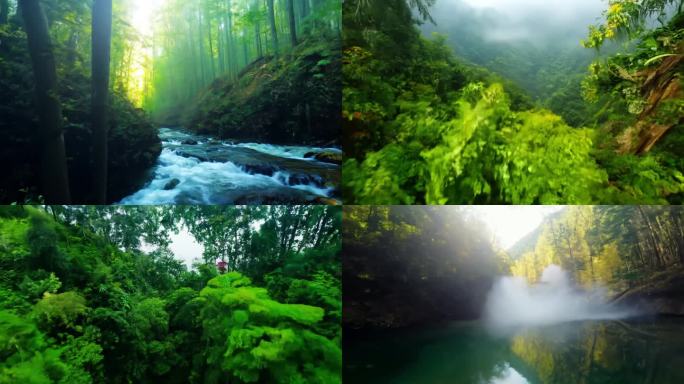 原始森林热带雨林藤蔓大树溪水山泉fpv