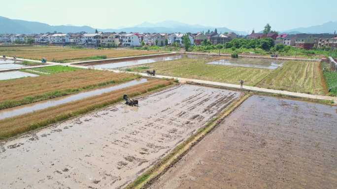 乡村水田耕地航拍