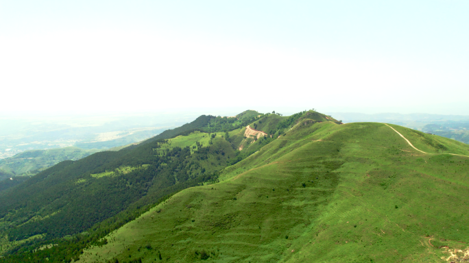 【原创实拍】青山草甸山区农业