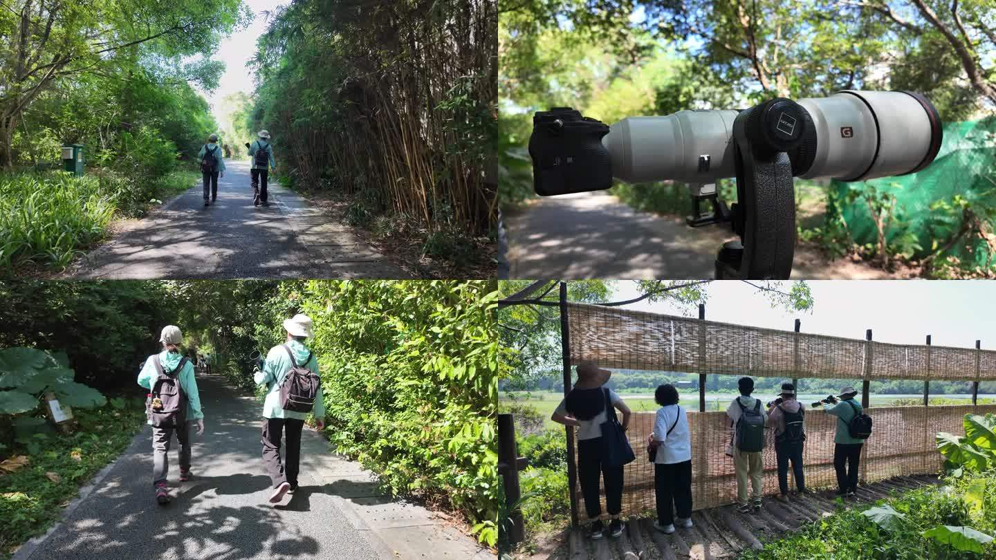 摄影师打鸟 爱鸟护鸟 鸟类摄影师 生态
