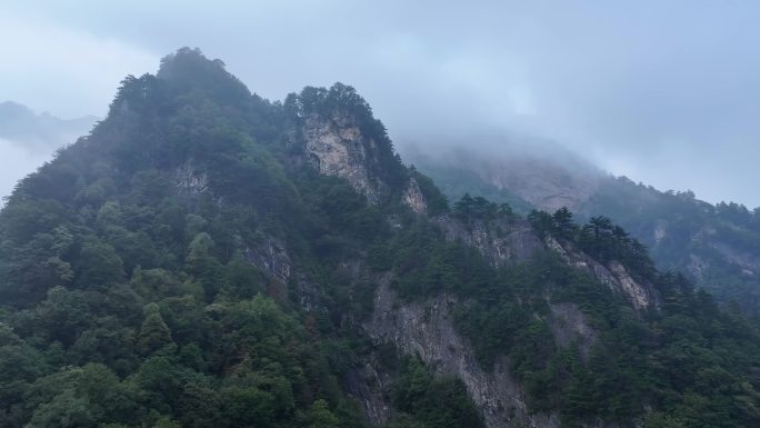 秦岭云雾秘境