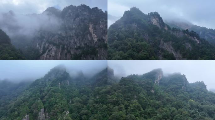 秦岭云雾秘境