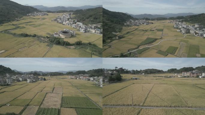 【4K】土楼稻田大景航拍