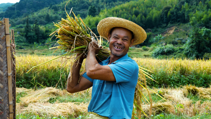 丰收的喜悦