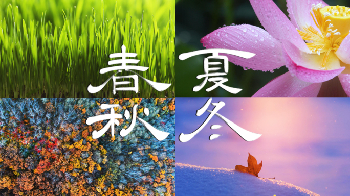 春夏秋冬 四季变换