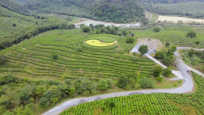 积庆里红茶基地