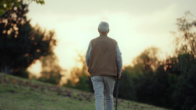 老人背影 孤独的老人 老人拄拐杖散步