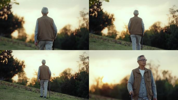 老人背影 孤独的老人 老人拄拐杖散步