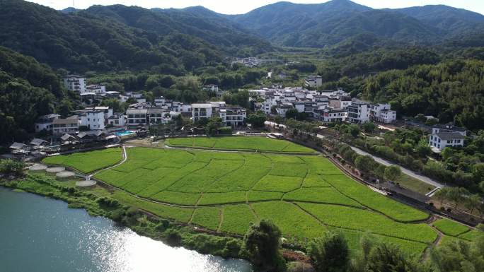 广东从化流溪温泉度假区御泉大道 米埗村村