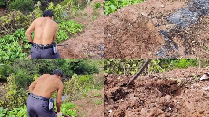 农民耕地种植土壤锄地农活锄地锄头挖地特写