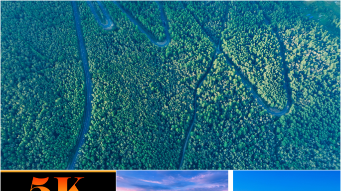 森林公路延时摄影森林大自然树林氧吧