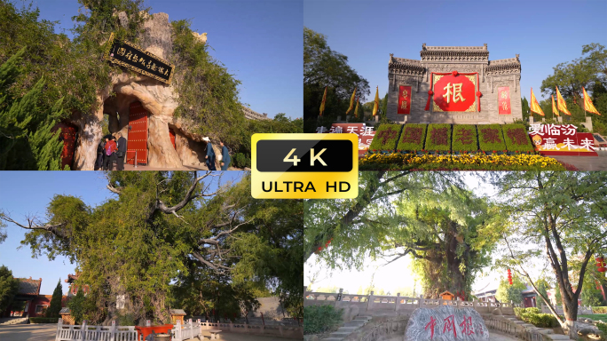 洪洞大槐树祭祖