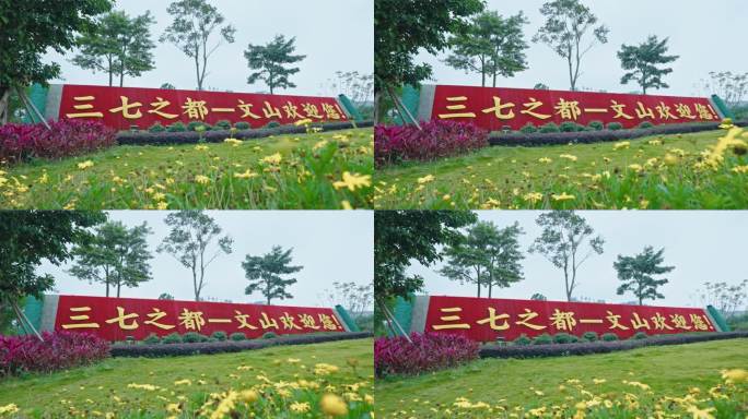 【正版素材】云南文山三七之都路标9251
