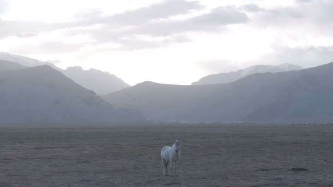 中国新疆喀什地区阿克陶县喀拉库勒湖景区