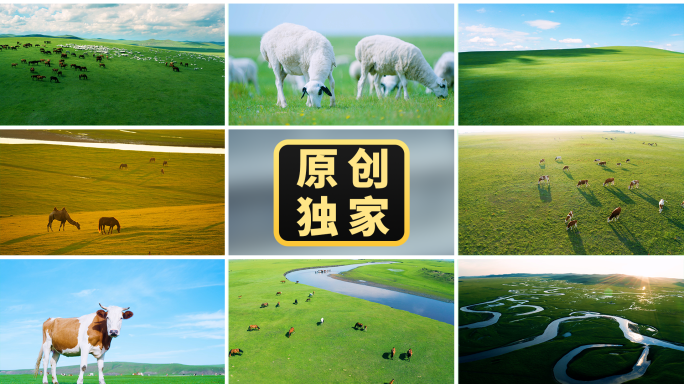 草原牧场草场畜牧业奶牛羊群牛群草原骏马