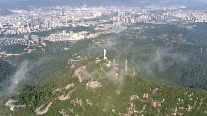 宁海杜鹃山云海