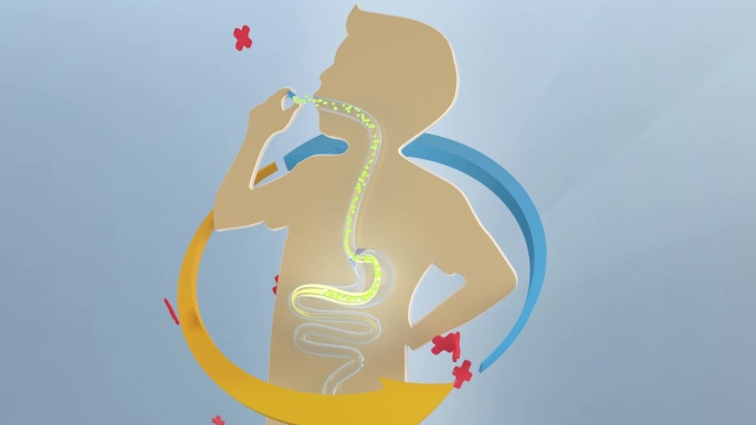 AE益生菌 肠胃吸收 胶囊吸收 药物分子
