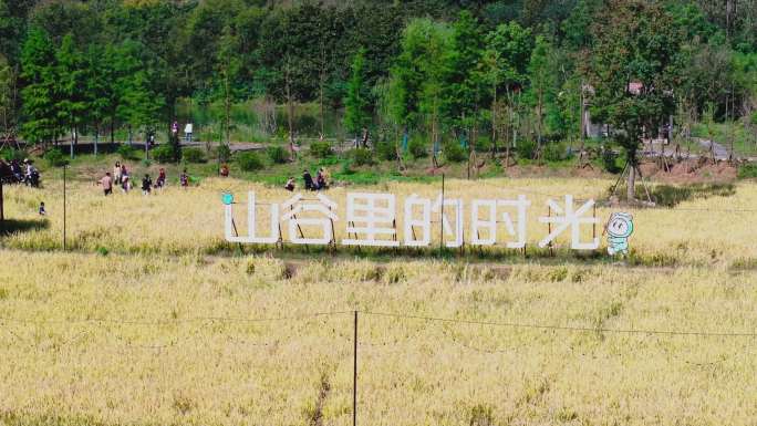 南京老山响堂山谷风光