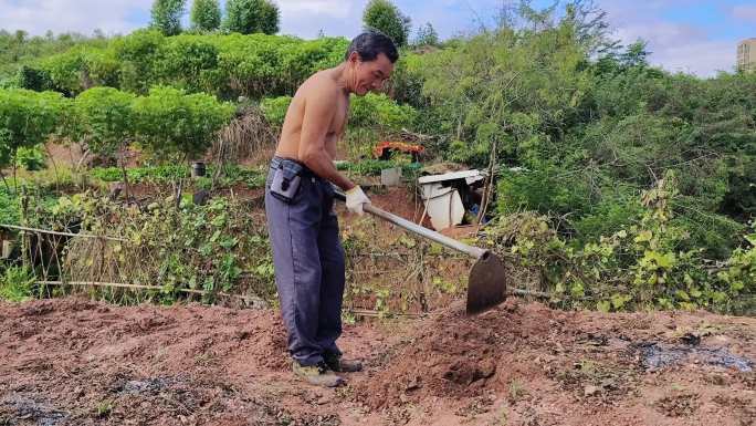 农民锄地农村锄头种植农民劳作 除草泥土