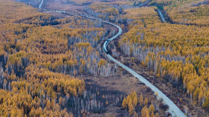火车穿过森林秋景  大兴安岭镜头合集