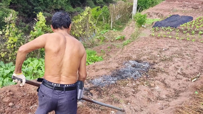 农民锄地农村锄头种植农民劳作 除草泥土