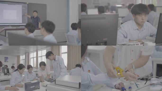 职业教育 大专教育4k原素材