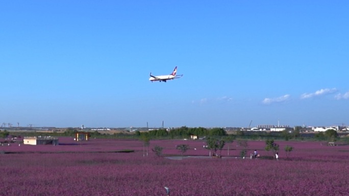 兰州中川机场兰州新区飞机起飞降落花海