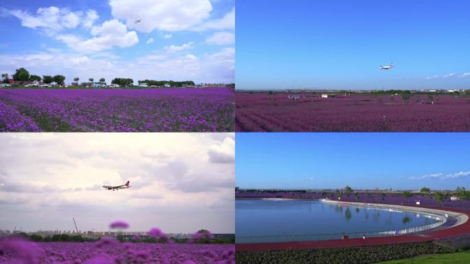 兰州中川机场兰州新区飞机起飞降落花海