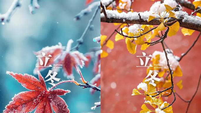 立冬二十四节气动态海报竖版海报企业企划