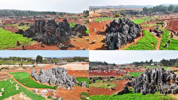 云南昆明石林 03