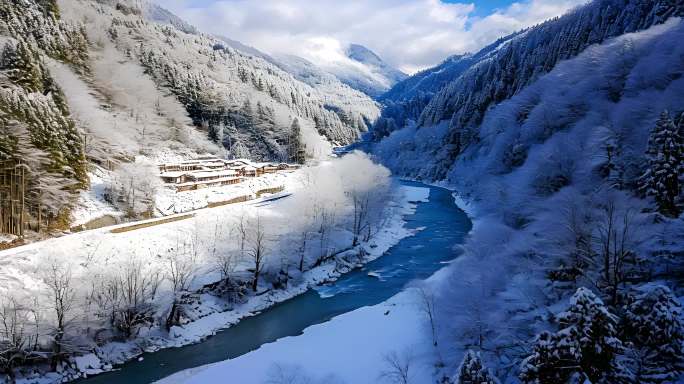 立冬 立冬节气 冬天下雪 大雪小雪 雪景