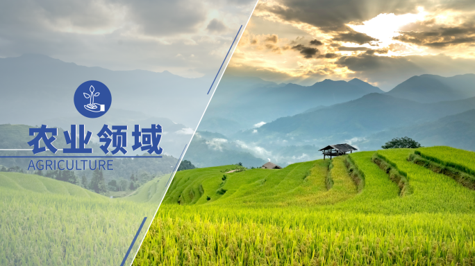 【原创】业务领域分类板块图文展示
