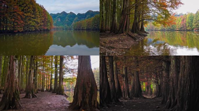 汉中龙池湖秋景