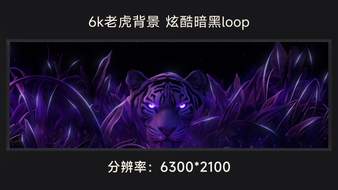 6k酷炫老虎背景 炫酷暗黑 loop