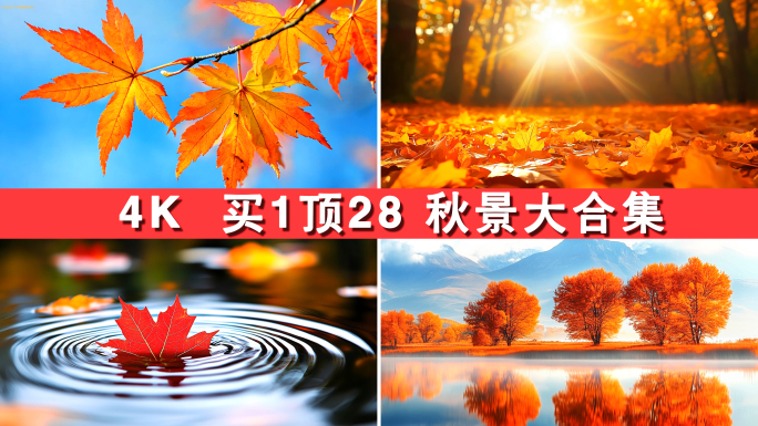 秋天深秋秋季秋景秋天自然风景