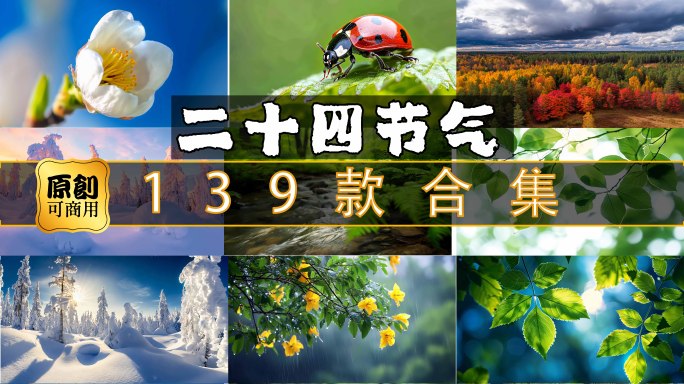 立春雨水惊蛰春分清明谷雨立夏小满芒种夏至