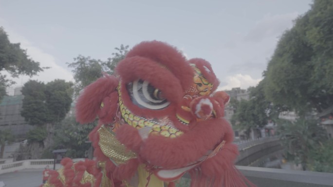 广东舞狮文化
