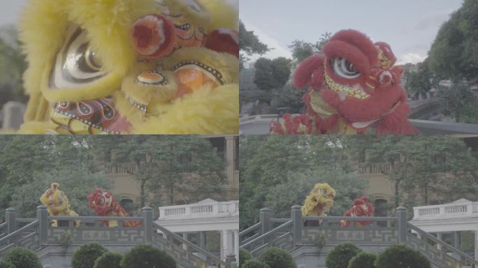 广东舞狮文化