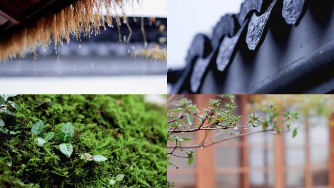 雨中的小院子