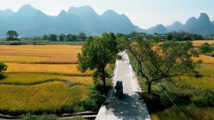 远山农田金色水稻乡村路